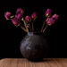 Rose Ware Photo 18