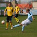 Andrew Stevens Photo 44