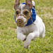 Debbie Goetz Photo 20