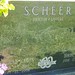 James Scheer Photo 23