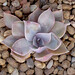 Barbara Huth Photo 7