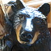 Jane Bear Photo 13