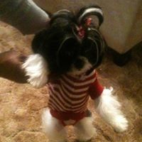 Brenda Cartwright Photo 24