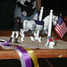 Ronald Sherrill Photo 10