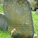 Fred Abbott Photo 22
