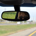 Kathy Driver Photo 16