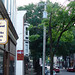 Joy Fredericks Photo 10