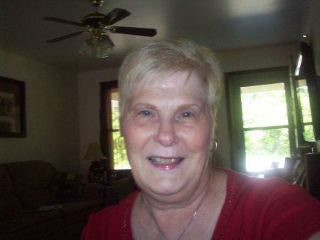 Linda Schafer Photo 9