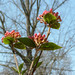 Ruth Bush Photo 23