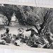William Hudson Photo 46