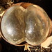 Christopher Glass Photo 14