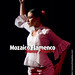 Stephanie Bailes Photo 9