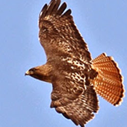 John Geer Photo 27