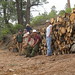 Vicki Griffin Photo 21