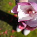 Maxine Harmon Photo 9