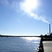 Elizabeth Wayne Photo 8