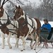 Paul Cutter Photo 11