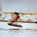 Curtiss Wheeler Photo 3