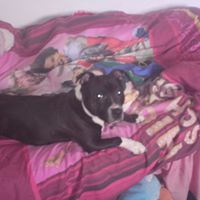 Sarah Bradshaw Photo 45