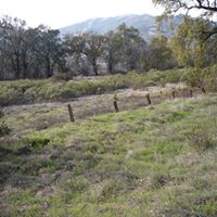 Jerry Treadway Photo 6