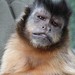Ricky Bunch Photo 16