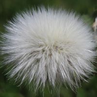 Elizabeth Rust Photo 14