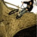 Tyler Neal Photo 29