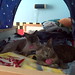 Thomas Jesse Photo 30