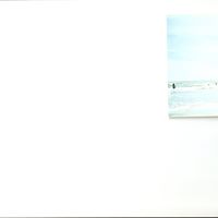 Sean Light Photo 1