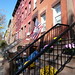 Denise Carroll Photo 17