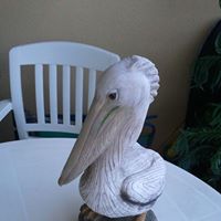 Nancy Himes Photo 2