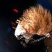 Brad Clifford Photo 32