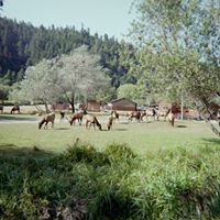 Cliff Olson Photo 6