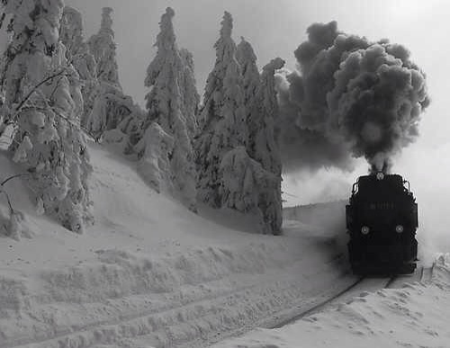 James Beene Photo 9