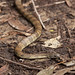 Dennis Friedrichs Photo 7