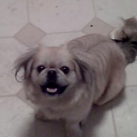 Deborah Granados Photo 10