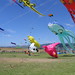 Amy Dao Photo 20