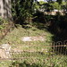 Martha Sims Photo 17