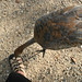 Janet Keener Photo 13