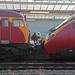 Tracy Gordon Photo 15