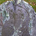 Nathaniel Wing Photo 7