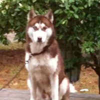 Gail Morrow Photo 8
