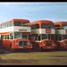 Kent Brown Photo 36