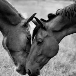 Colleen Carr Photo 9