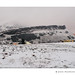 Arthur Snow Photo 18