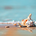 Alvin Summers Photo 9