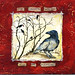 Norman Crow Photo 4