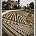 Clifton Nash Photo 9