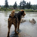 Sandy Clark Photo 9