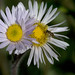 Robyn May Photo 11